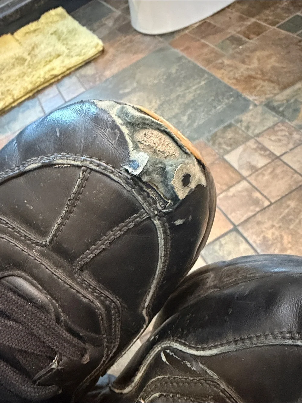 Black Leather Gucci Sneakers with Green Star Accents